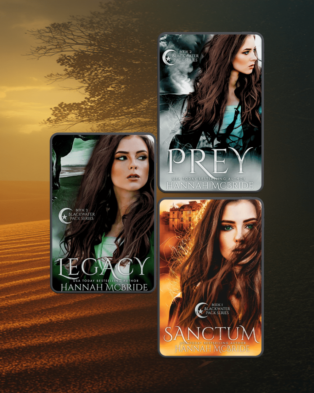 Blackwater Pack Series by Hannah&nbsp;McBride