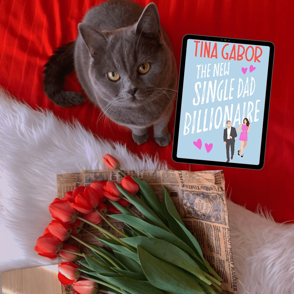 The New Single Dad Billionaire (Bronson Billionaire Romance Series Book 5) by Tina&nbsp;Gabor