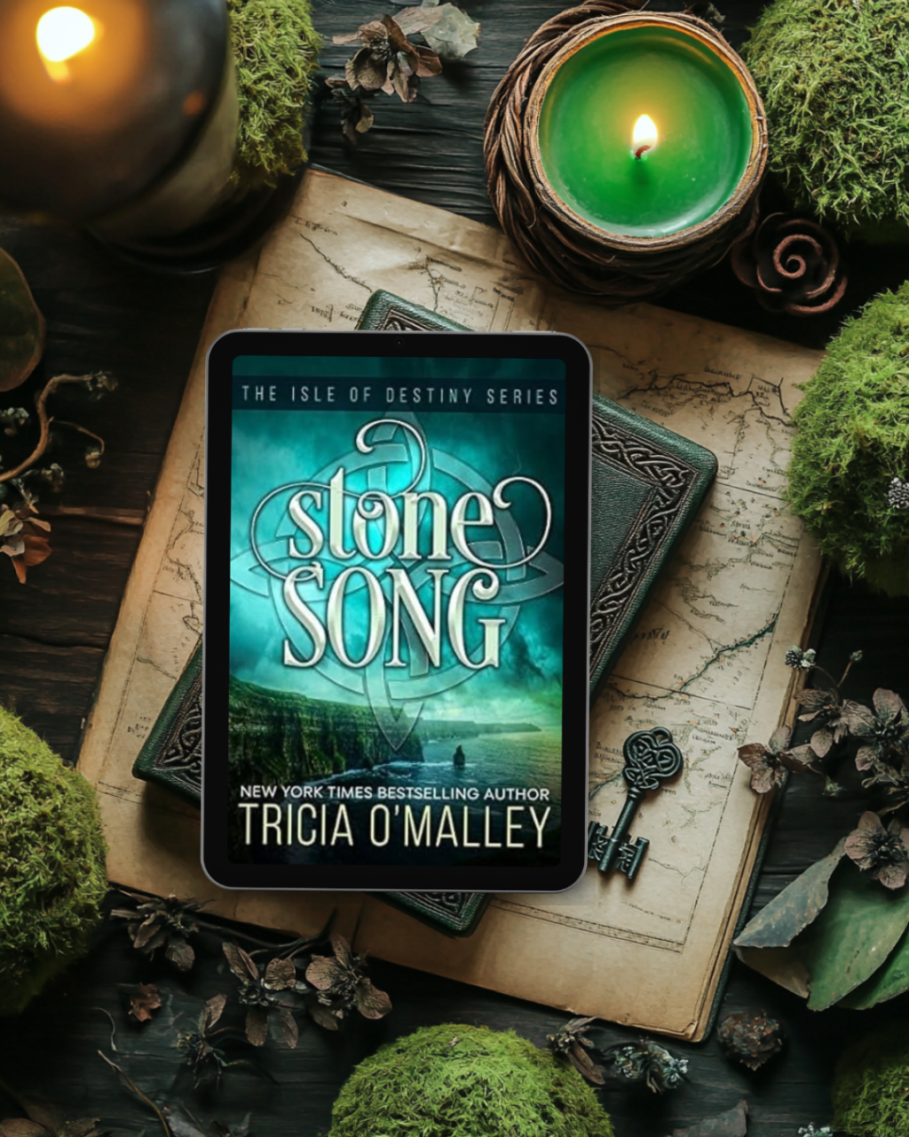 Stone Song: an Irish fae romance (The Isle of Destiny Series Book 1) by Trisha&nbsp;O’Malley