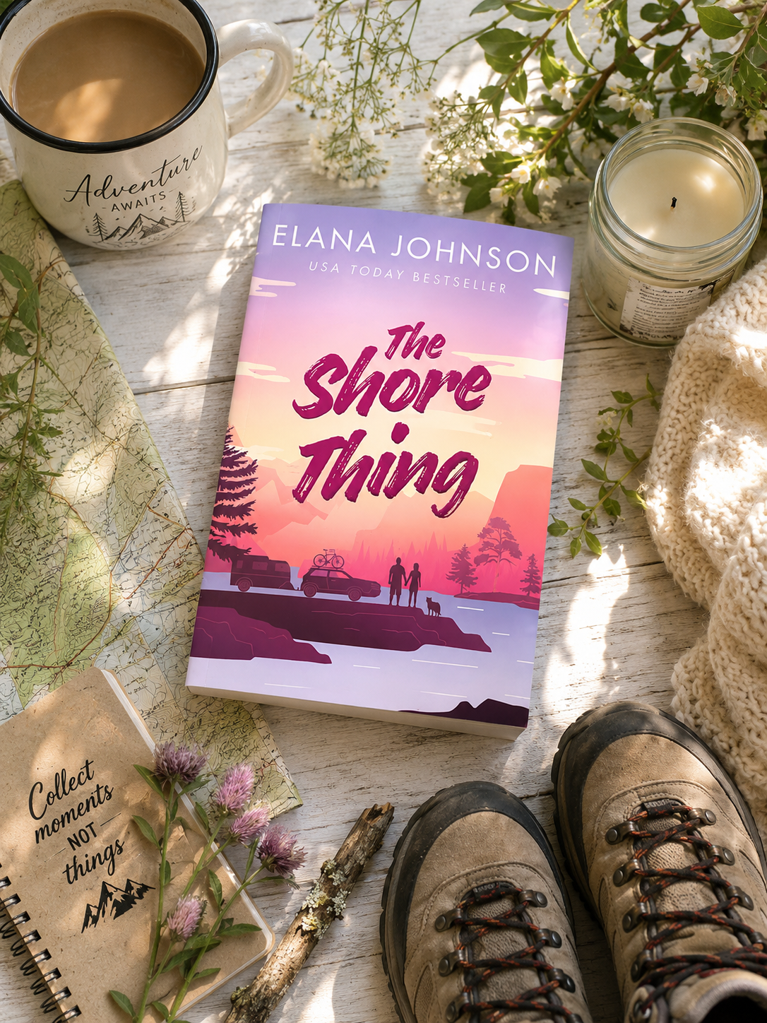 The Shore Thing by Elana&nbsp;Johnson