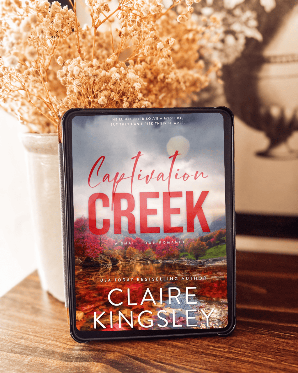 Captivation Creek by Claire&nbsp;Kingsley