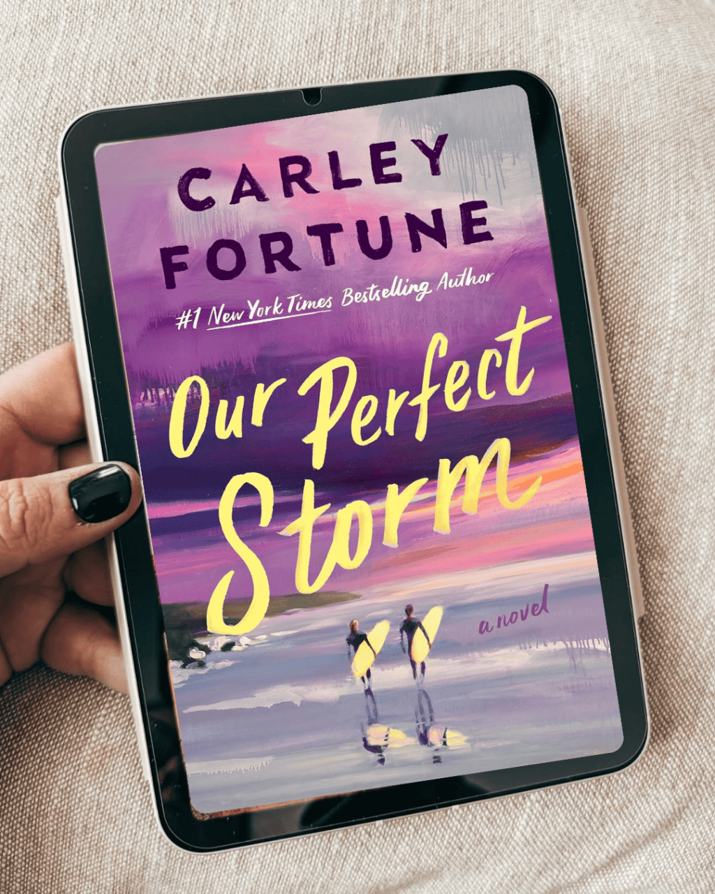 Our Perfect Storm by Carley Fortune